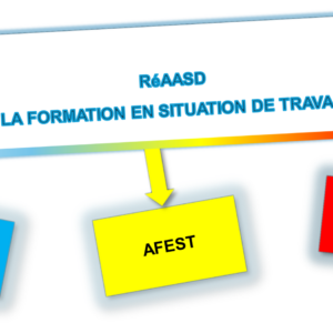 IFPA participe aux premières journées internationales du réseau RéAASD à Montpellier